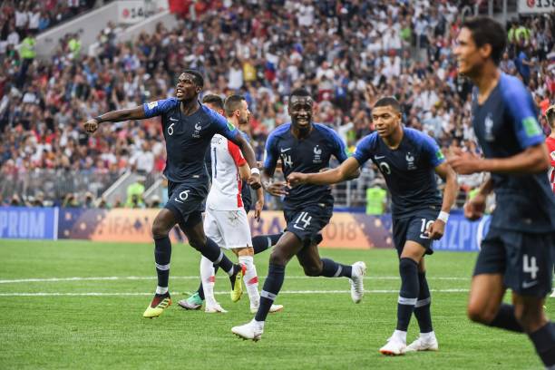 略不仅能提 略不仅能提